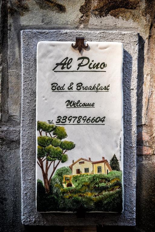 Al Pino B&B Ґроттаферрата Екстер'єр фото
