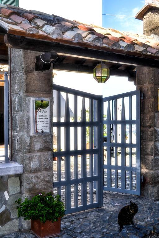 Al Pino B&B Ґроттаферрата Екстер'єр фото
